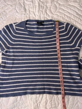 Eileen Fisher Cotton Blue and White Striped Sweater
